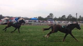 Jockeyless horse beats other horses at steeplechase in Aiken