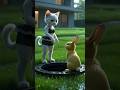 Cat &amp; rabbit friend