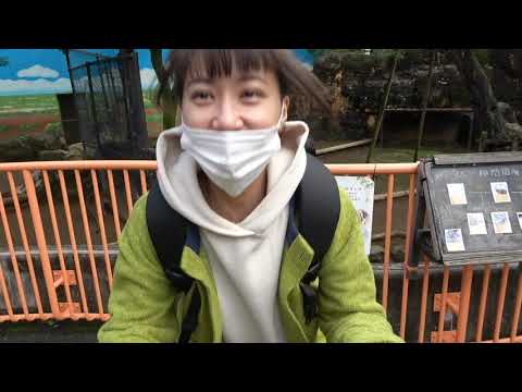 Budget date] I went on a free zoo date with my wife, who