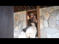 楽しいキャンプのはずが・・。