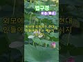 4장 - 화품(華品): 진정한 아름다움] #부처님말씀 #붓다의가르침  #불교지혜말씀 #마음공부 #마음수행 #불교철학 #마음챙김명상 #불교낭독 #영적성찰 #삶의본질 #마음다스리기