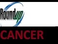 Use Vinegar not Roundup for Weed control