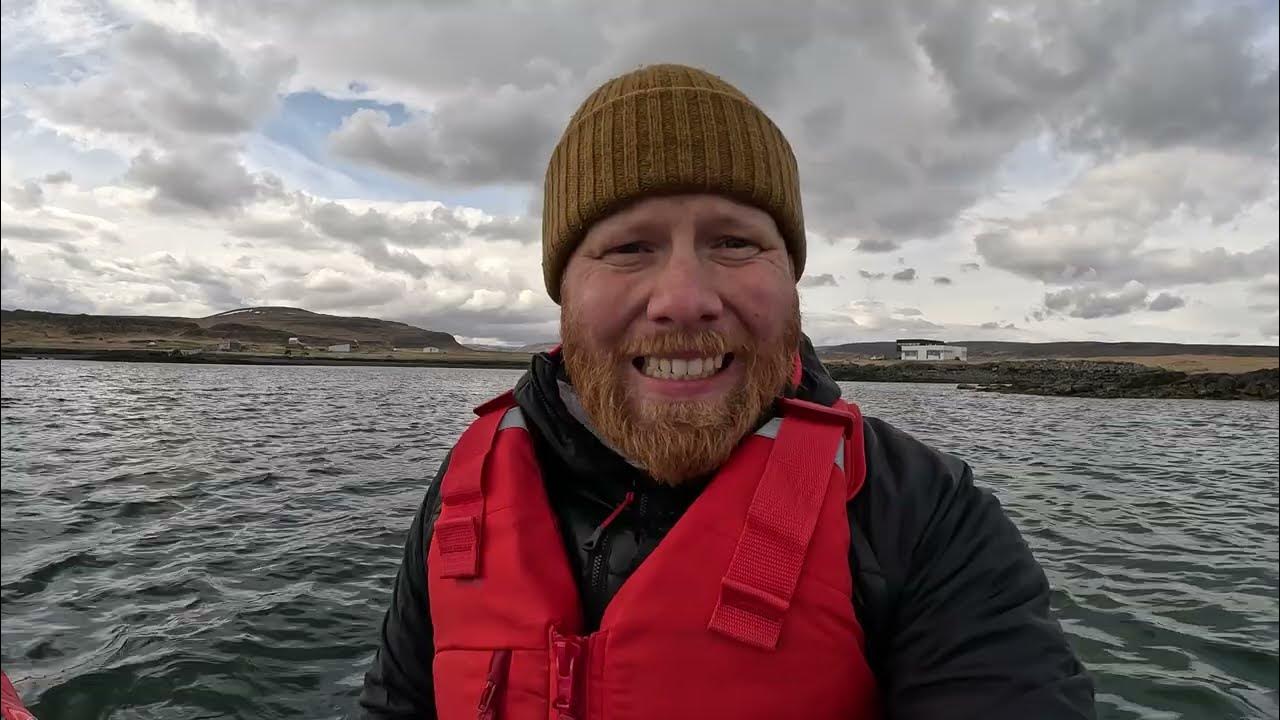 12 Amazing Bird Island in Iceland 🇮🇸 YouTube