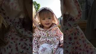 The life of a chipmunk, according to a toddler
