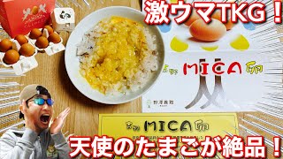 【実食・ふるさと納税】天使のたまごで贅沢卵かけご飯！絶品！