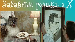 Интересности о вышивке: вышитый портрет Сталина, вышивающий кот Интересности о вышивке: вышитый портрет Сталина, вышивающий кот