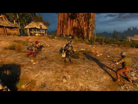 The Witcher 3 - Shields Mod Demo