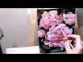 Speed drawing: peonies | пионы | масло, холст | oil paint, canvas