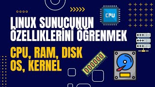 11 - Linux Sunucunun Özelliklerini Öğrenmek İçin Kullanmanız Gereken Komutlar