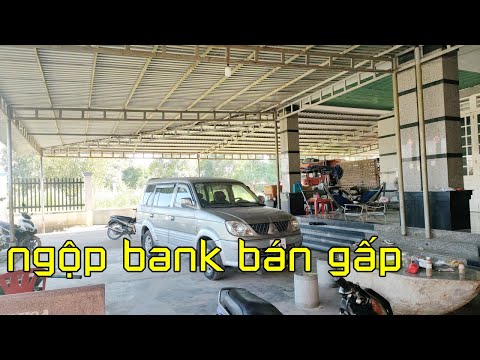 Video Ngộp bank ngân hàng 1 tỷ mấy bán gấp nhà vườn 2 sào... - youtube