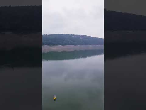 أنشودة جميلة مشاري العفاسي غردي ياروح 