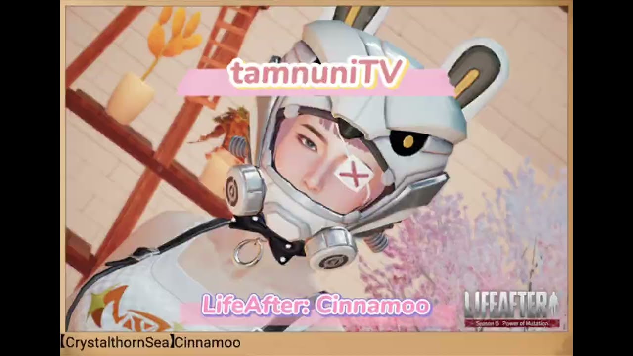 LifeAfter: Cinnamoo - Where to play solo/level up combat mastery if under lv10