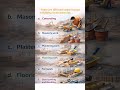 different steps in building construction #civilengineering #construction