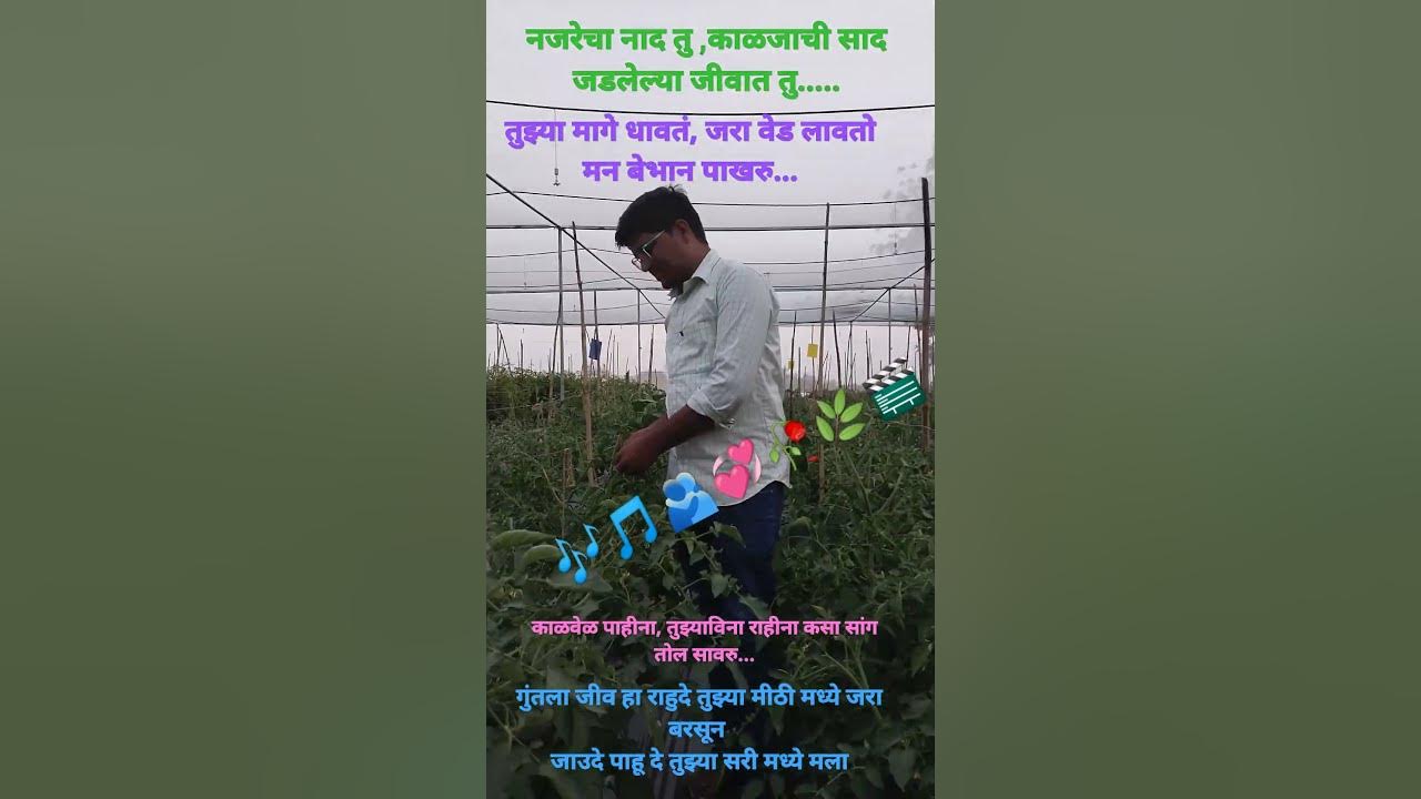 Kshan Halva क्षण हळवा Marathi Song Tarri Movie 17th Feb Guru