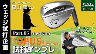 The Shape Pros Demand! Callaway 