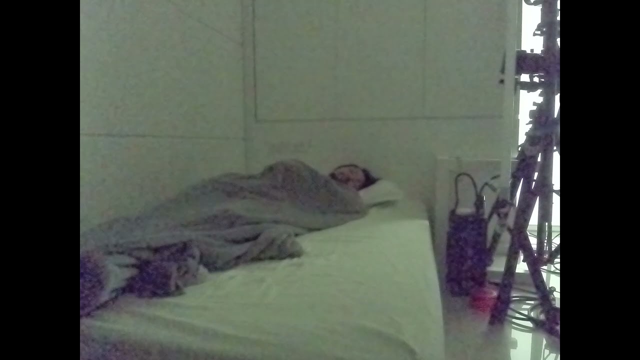 School toilet chilling skip class wind turbo range computer crash unstable big green sunny tree slee