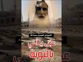 ابن العثيمين: عجل بالتوبة. #الجزائر #اكسبلور #السعودية #العراق #التوبة #عجل #العثيمين