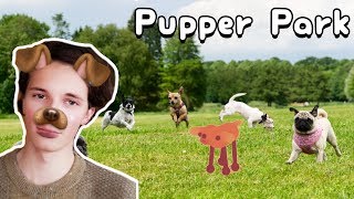 Sokpop Patreon - Pupper Park