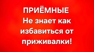 Приёмные/В последних сериях. 
