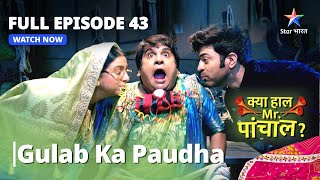 Full Episode 43 || क्या हाल मिस्टर पांचाल? || Gulab Ka Paudha #starbharat