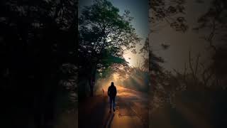 ভালো বাসা মানে নিখুত হওয়া নয় #atntvnews #funny #lifeisbutadream #atntv #zoo #comedy