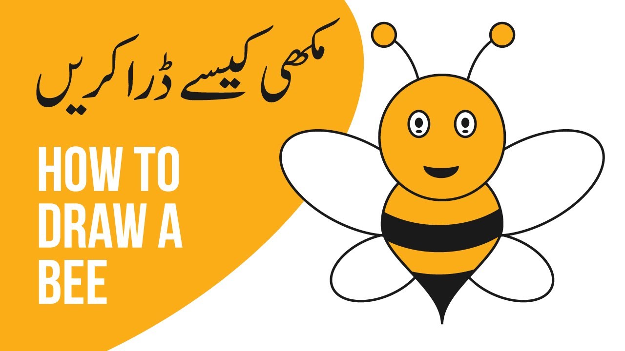 How to draw a Bee | مکھی کی ڈرائنگ کیسے کریں | Step by step Bee drawing and coloring