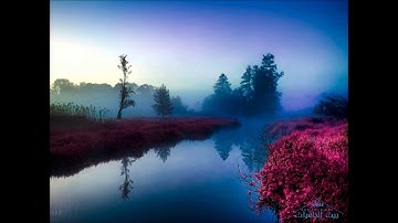 سورة الأسراء - د. يوسف أبو سمرة حنني - رواية البزي عن إبن كثير.