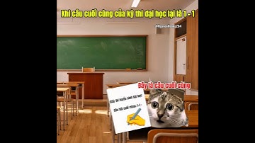 Khi câu cuối cùng của kỳ thi đại học lại là 1+1 #meme #catmeme