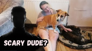 Dog is Scared of MEN  Why & How to Fix it W/O Corrections