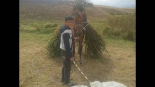 Adem Özkan knkalarim