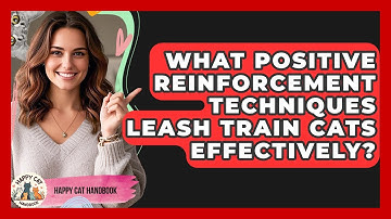 What Positive Reinforcement Techniques Leash Train Cats Effectively? - Happy Cat Handbook