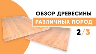 Обзор древесины различных пород (2/3) Влажность, усушка и разбухание, износостойкость, гибкость