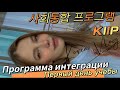 Почему я неуважительно разговариваю с корейцами?/Программа интеграции KIIP/первый день учёбы/Korea