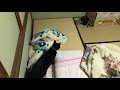 タイピーがやって来た
