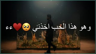 محمود التركي فراشة انتي يابعد كلبي❤️!! |  اجمل حالات واتس اب حب 2022 - مقاطع قصيرة - ستوريات انستا