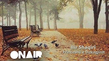 Ilir Shaqiri - Princeshë e Dukagjinit