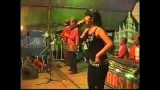 LIVE ORGAN TARLING   AYAM PUTIH