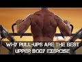 Pull-Ups: The Ultimate Upper Body Exercise- Thomas DeLauer