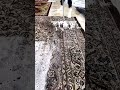 Heavy Dirt Scraping in Action