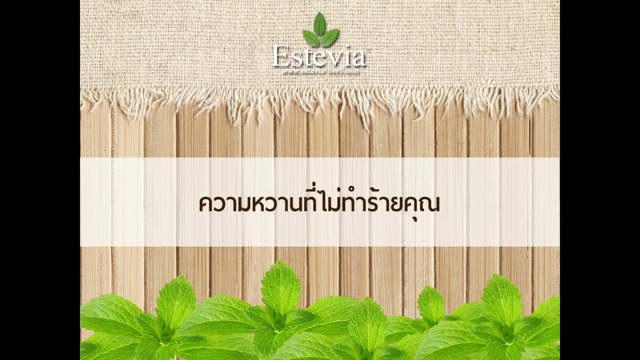 น้ำเชื่อมหญ้าหวาน น้ำตาลหญ้าหวาน สารสกัดจากหญ้าหวาน - Estevia Herb
