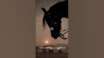 ياحبيبي ترا فلاح المسردي Sh 