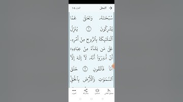 سورة النحل بالتجويد المبسط الصفحة (٢٦٧)