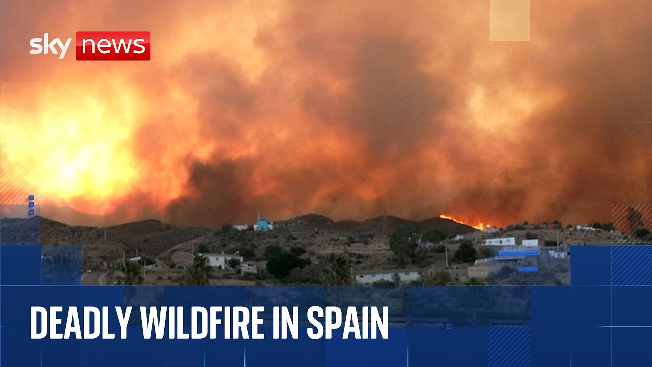 Wildfire sweeps across southern Spain, killing at least 11 people