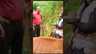 Halka Ramailo Team 4