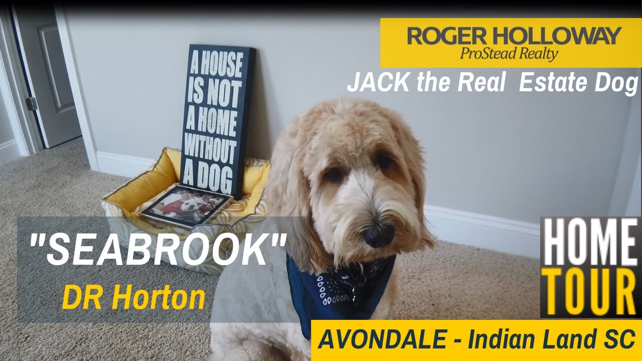 SEABROOK Ranch for Sale in DR Horton's Avondale [Indian Land SC] YouTube