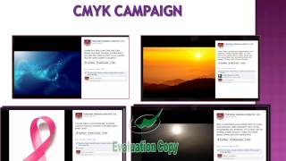 Mail order solutions casestudy by LDI
