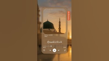 سورة النمل ❤☘ #تلاوة_خاشعة #المصحف #ارح_قلبك #قرآن_كريم #2ksubscribers #اكسبلور #دويتو #تيك_توك