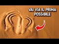 Se vedi questo segno bizzarro nella sabbia, fai attenzione!