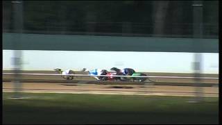 BAL WED 03 DEC 14 R11