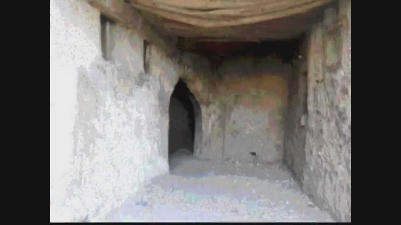 تراث القطيف